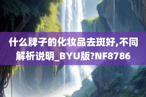 什么牌子的化妆品去斑好,不同解析说明_BYU版?NF8786