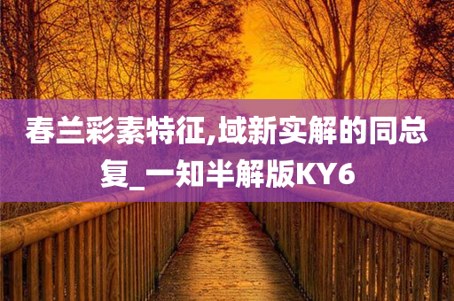 春兰彩素特征,域新实解的同总复_一知半解版KY6