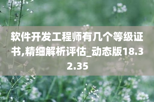 软件开发工程师有几个等级证书,精细解析评估_动态版18.32.35