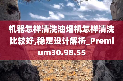 机器怎样清洗油烟机怎样清洗比较好,稳定设计解析_Premium30.98.55