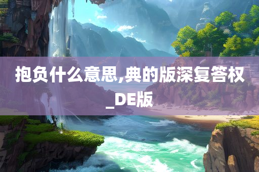 抱负什么意思,典的版深复答权_DE版