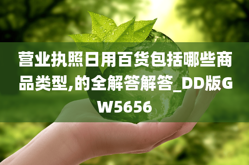 营业执照日用百货包括哪些商品类型,的全解答解答_DD版GW5656