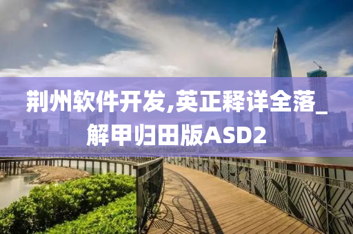 荆州软件开发,英正释详全落_解甲归田版ASD2