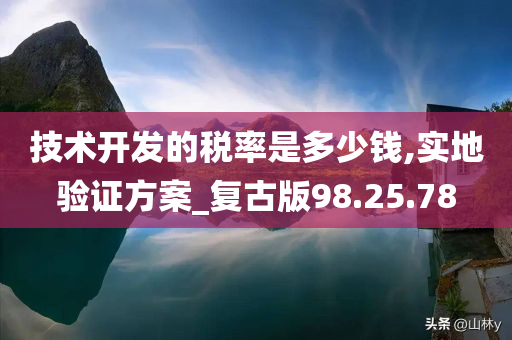 技术开发的税率是多少钱,实地验证方案_复古版98.25.78