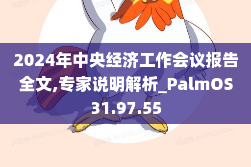 2024年中央经济工作会议报告全文,专家说明解析_PalmOS31.97.55