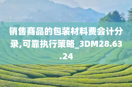 销售商品的包装材料费会计分录,可靠执行策略_3DM28.63.24