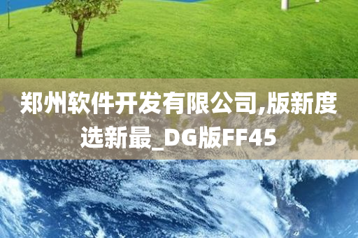 郑州软件开发有限公司,版新度选新最_DG版FF45