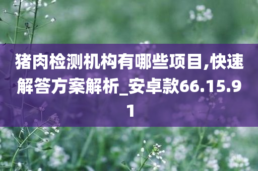 猪肉检测机构有哪些项目,快速解答方案解析_安卓款66.15.91