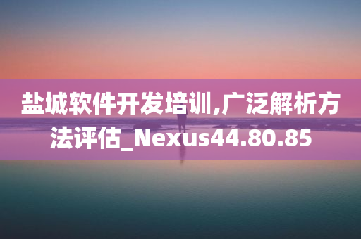 盐城软件开发培训,广泛解析方法评估_Nexus44.80.85