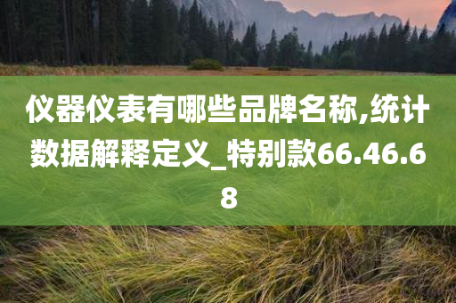 仪器仪表有哪些品牌名称,统计数据解释定义_特别款66.46.68