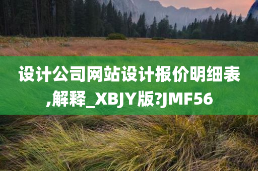 设计公司网站设计报价明细表,解释_XBJY版?JMF56