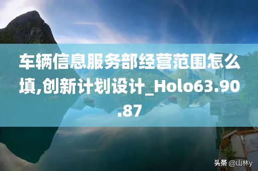 车辆信息服务部经营范围怎么填,创新计划设计_Holo63.90.87