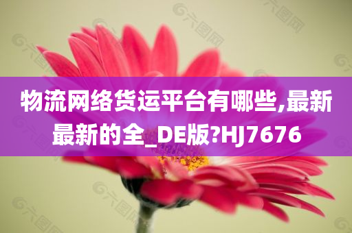 物流网络货运平台有哪些,最新最新的全_DE版?HJ7676