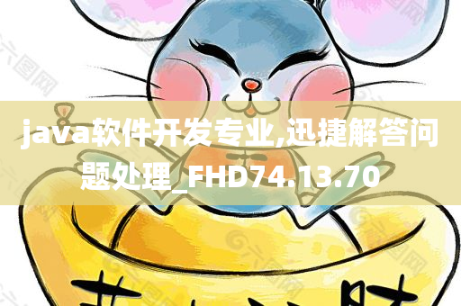 java软件开发专业,迅捷解答问题处理_FHD74.13.70