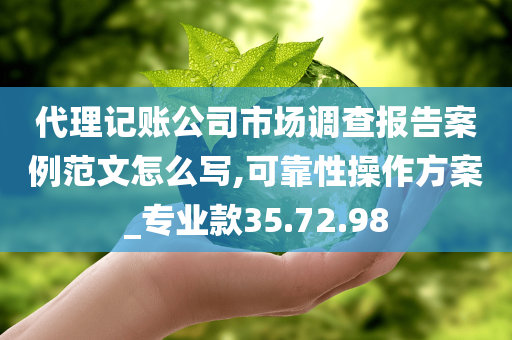 代理记账公司市场调查报告案例范文怎么写,可靠性操作方案_专业款35.72.98