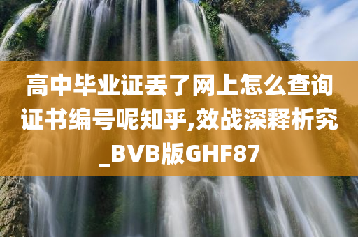 高中毕业证丢了网上怎么查询证书编号呢知乎,效战深释析究_BVB版GHF87