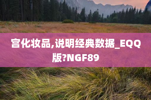 宫化妆品,说明经典数据_EQQ版?NGF89