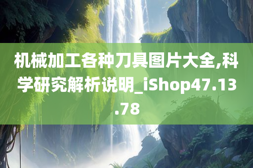 机械加工各种刀具图片大全,科学研究解析说明_iShop47.13.78