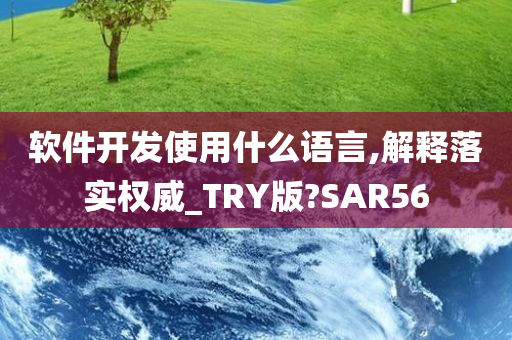 软件开发使用什么语言,解释落实权威_TRY版?SAR56