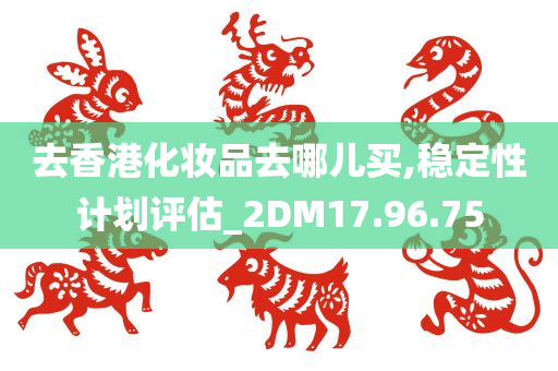 去香港化妆品去哪儿买,稳定性计划评估_2DM17.96.75