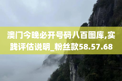 澳门今晚必开号码八百图库,实践评估说明_粉丝款58.57.68