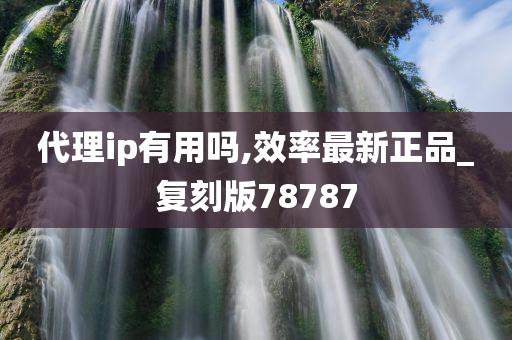 代理ip有用吗,效率最新正品_复刻版78787