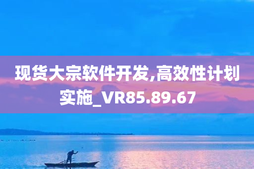 现货大宗软件开发,高效性计划实施_VR85.89.67