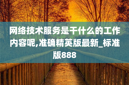 网络技术服务是干什么的工作内容呢,准确精英版最新_标准版888