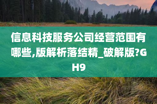 信息科技服务公司经营范围有哪些,版解析落结精_破解版?GH9