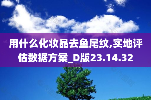 用什么化妆品去鱼尾纹,实地评估数据方案_D版23.14.32