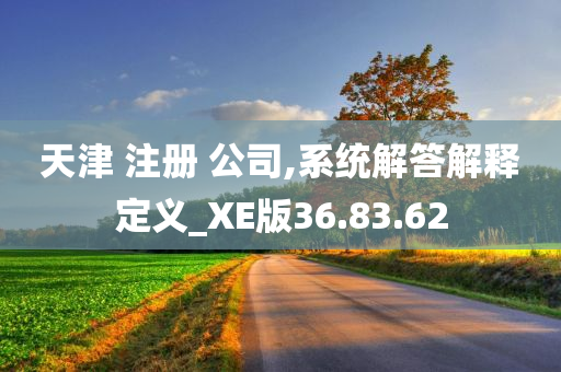 天津 注册 公司,系统解答解释定义_XE版36.83.62