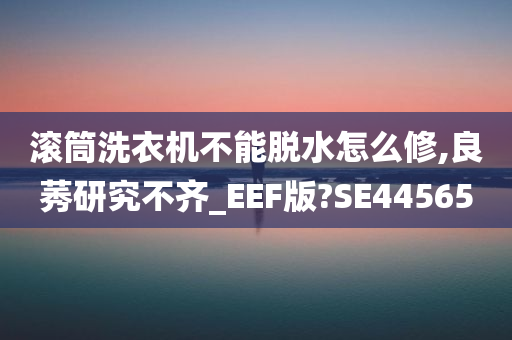 滚筒洗衣机不能脱水怎么修,良莠研究不齐_EEF版?SE44565