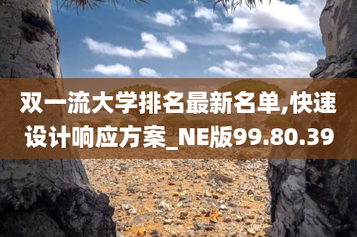 双一流大学排名最新名单,快速设计响应方案_NE版99.80.39