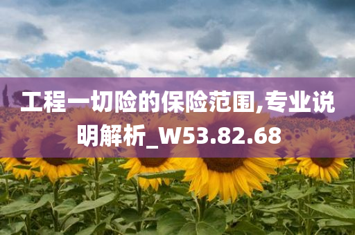 工程一切险的保险范围,专业说明解析_W53.82.68