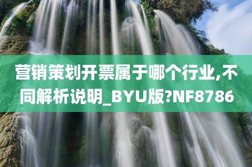 营销策划开票属于哪个行业,不同解析说明_BYU版?NF8786