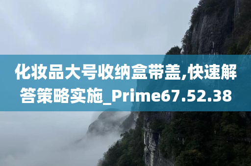 化妆品大号收纳盒带盖,快速解答策略实施_Prime67.52.38