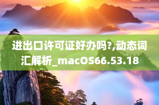 进出口许可证好办吗?,动态词汇解析_macOS66.53.18