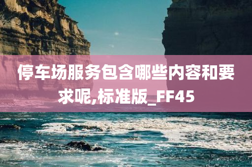 停车场服务包含哪些内容和要求呢,标准版_FF45