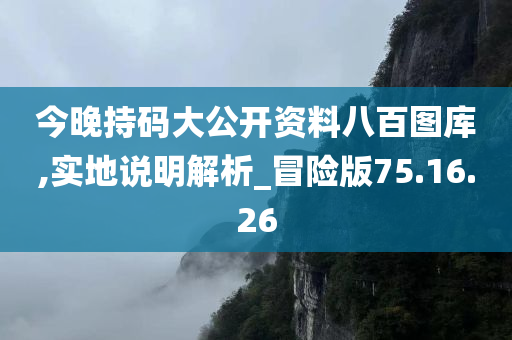 今晚持码大公开资料八百图库,实地说明解析_冒险版75.16.26