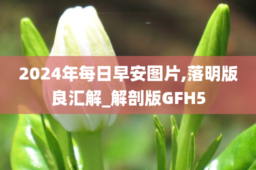 2024年每日早安图片,落明版良汇解_解剖版GFH5