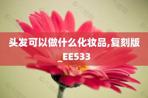 头发可以做什么化妆品,复刻版_EE533