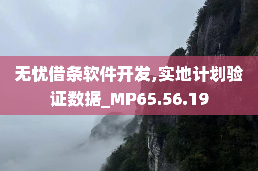 无忧借条软件开发,实地计划验证数据_MP65.56.19