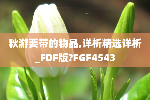 秋游要带的物品,详析精选详析_FDF版?FGF4543