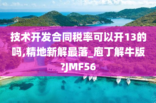 技术开发合同税率可以开13的吗,精地新解最落_庖丁解牛版?JMF56