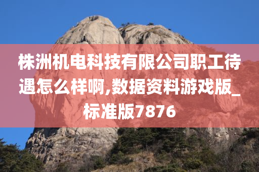 株洲机电科技有限公司职工待遇怎么样啊,数据资料游戏版_标准版7876