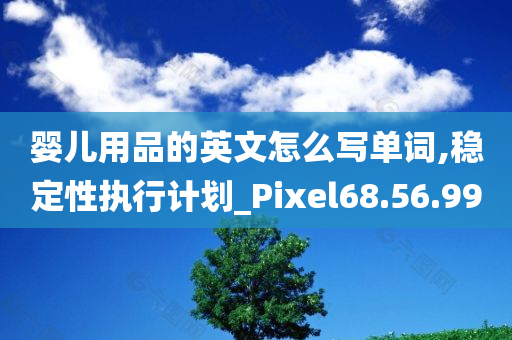 婴儿用品的英文怎么写单词,稳定性执行计划_Pixel68.56.99