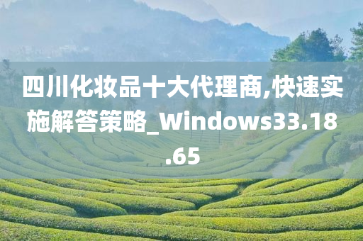 四川化妆品十大代理商,快速实施解答策略_Windows33.18.65