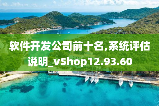 软件开发公司前十名,系统评估说明_vShop12.93.60