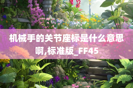 机械手的关节座标是什么意思啊,标准版_FF45