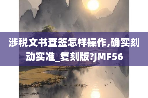 涉税文书查签怎样操作,确实刻动实准_复刻版?JMF56